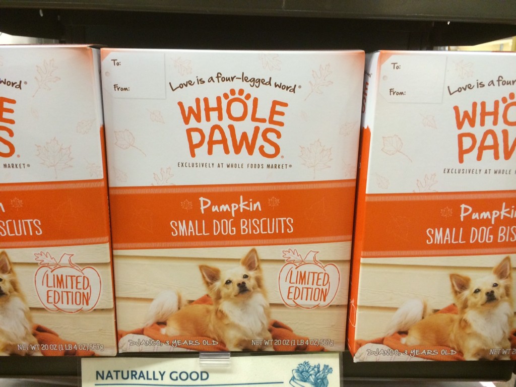 Pumpkin dog treat