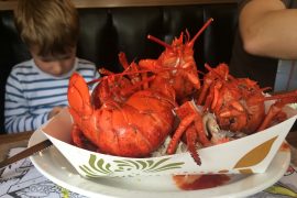 I love lobster