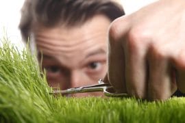 Time Management: American Speed vs. German Meticulousness