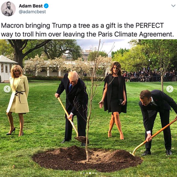 Is An Oak Sapling An Appropriate Present For President Trump?